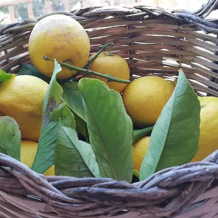 San Leone Valle Dei Templi Ξενοδοχείο με διαμερίσματα Αγκριτζέντο